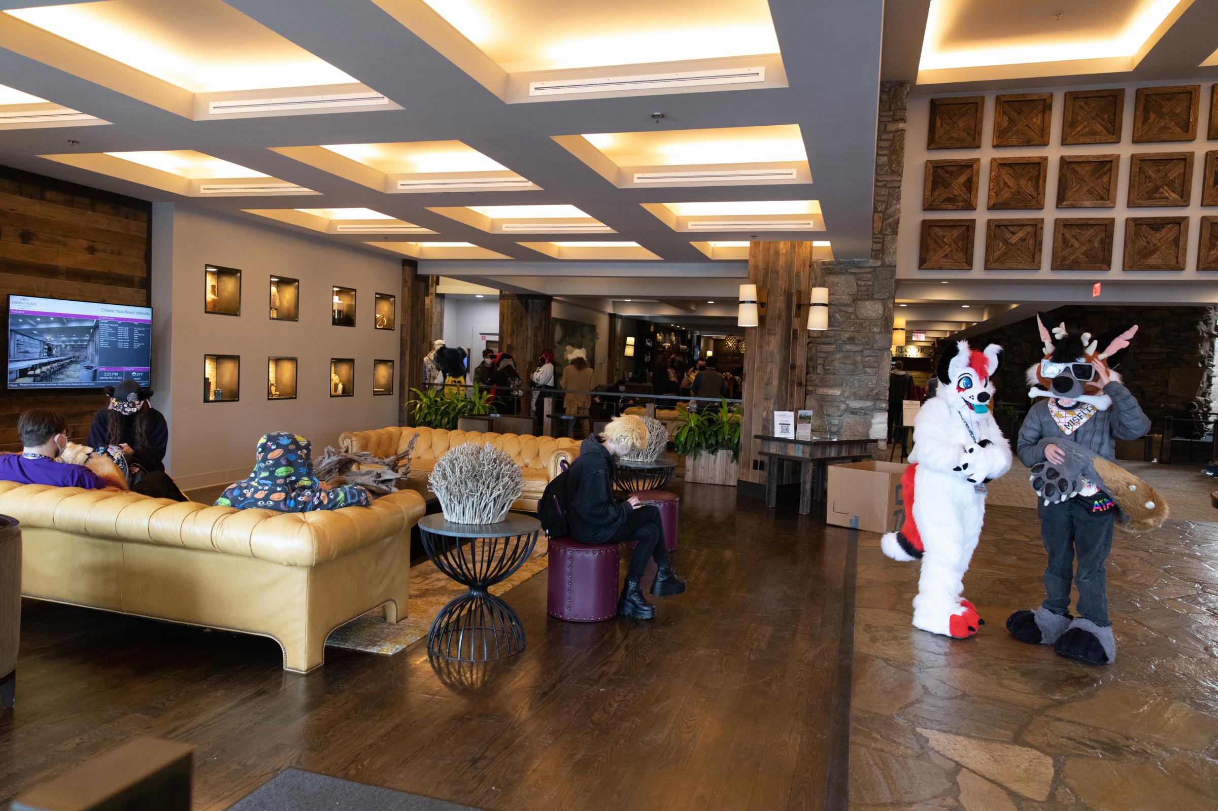 Furry Fandom - The lobby of the Crown Plaza hotel in Asheville, NC included furries with tails or elaborate...