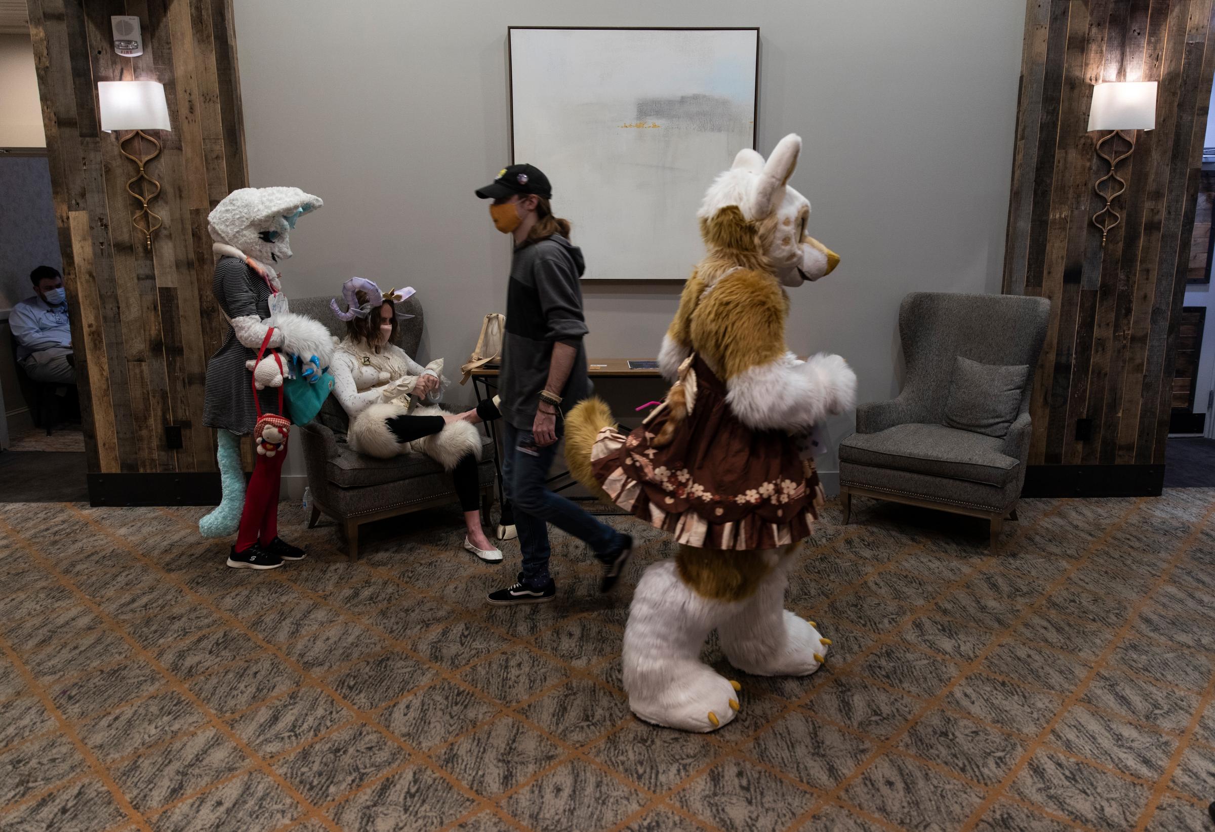Furry Fandom - The hallways inside the Crown Plaza were busy with animals and "regular" hotel guests.