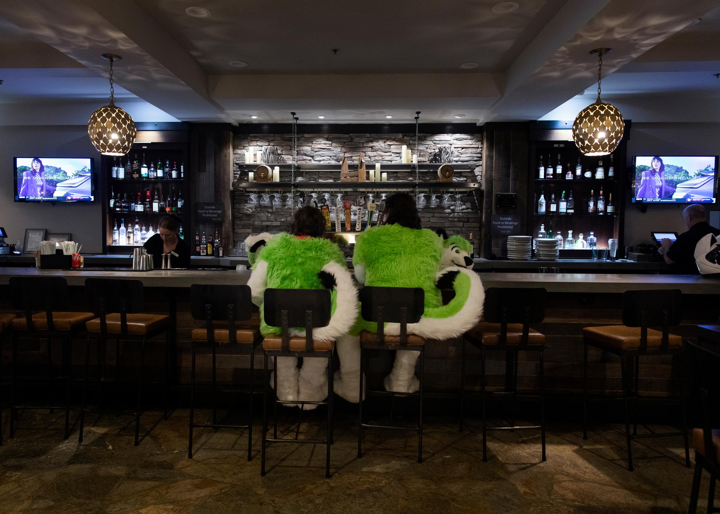 Furry Fandom - Two furries relax headless in the hotel bar.