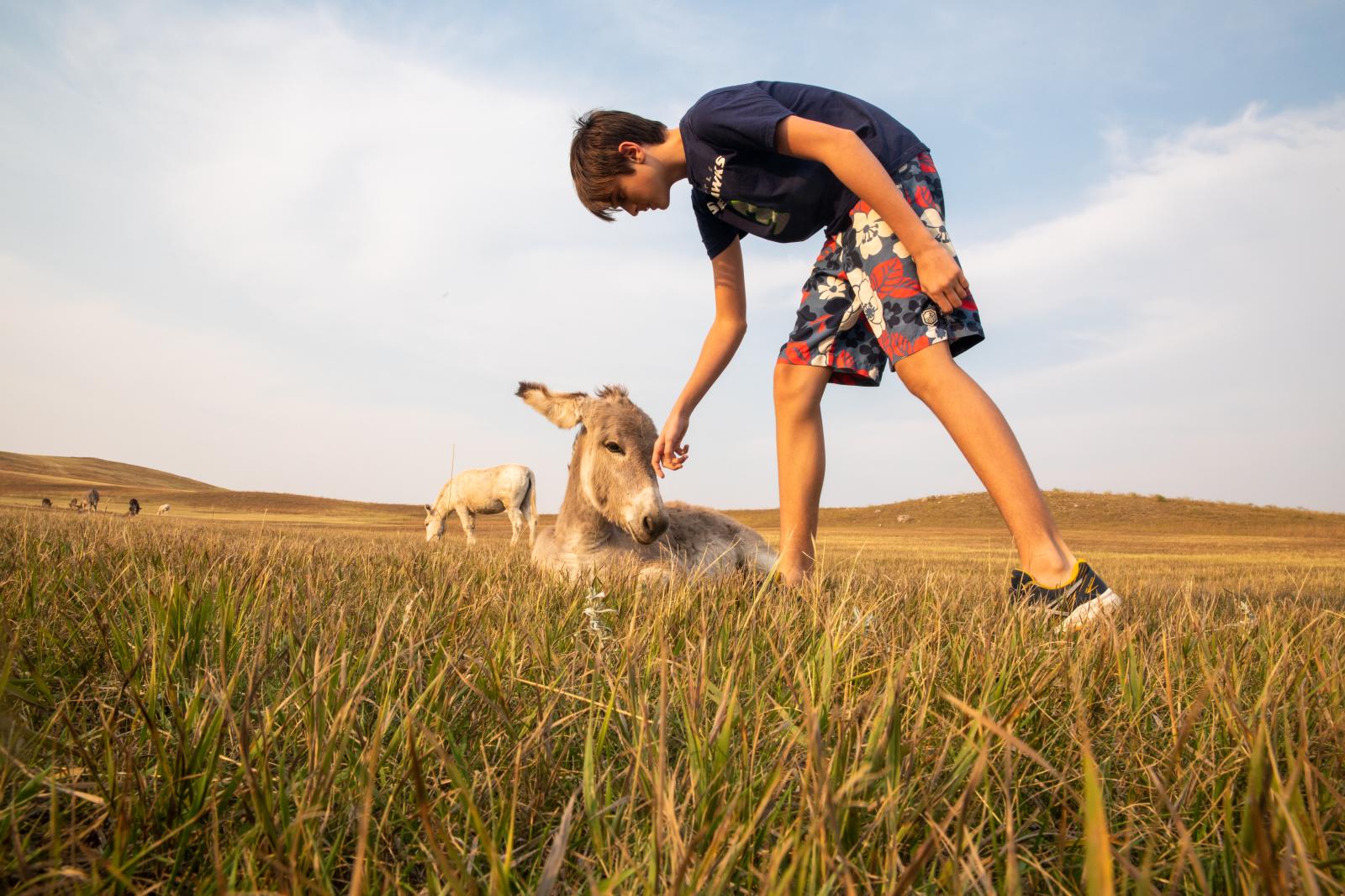 Petting Wild Burros in South Dakota