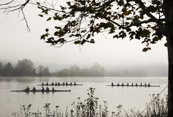 Rowing to the Start | Buy this image