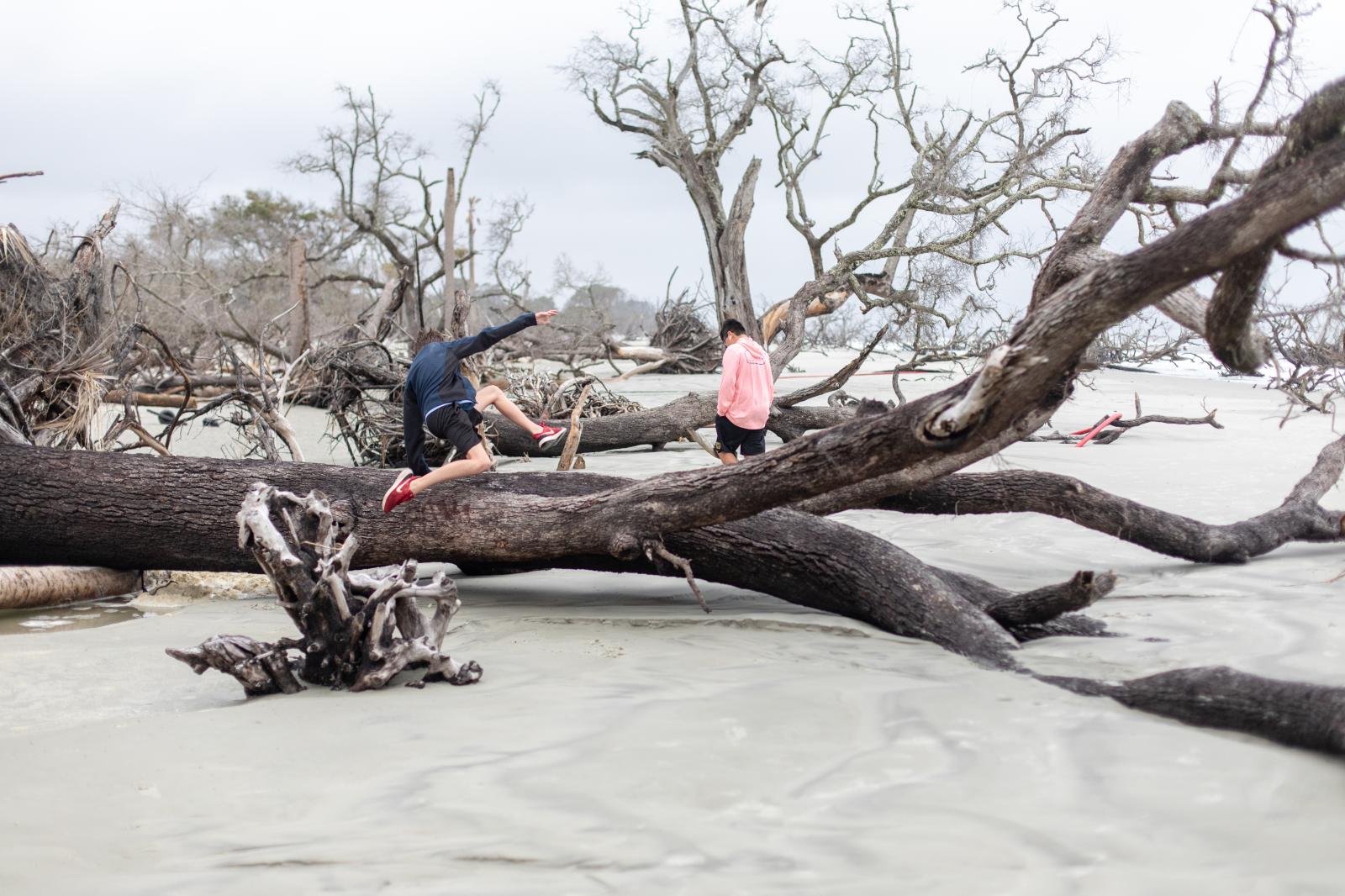 Exploring the Boneyard Beach of Hunting Island