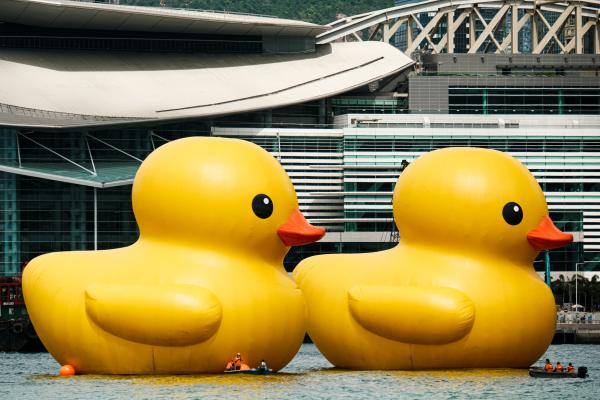 Rubber Ducks are back in Hong Kong