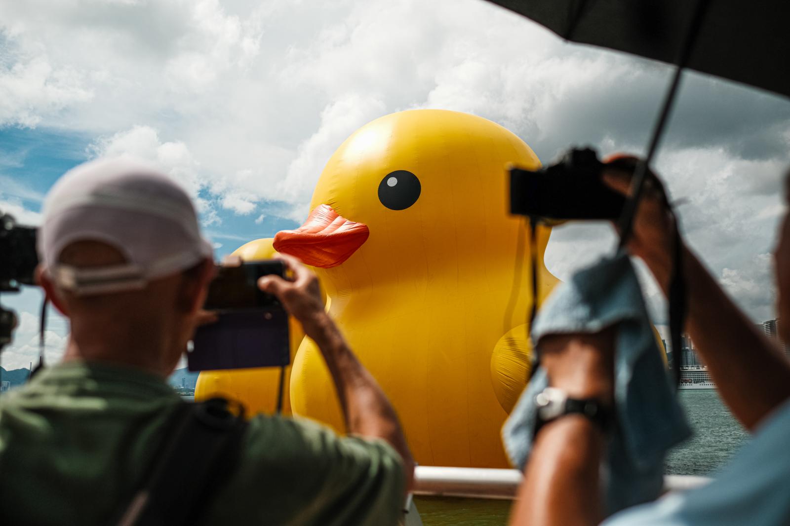 Rubber Ducks are back in Hong Kong