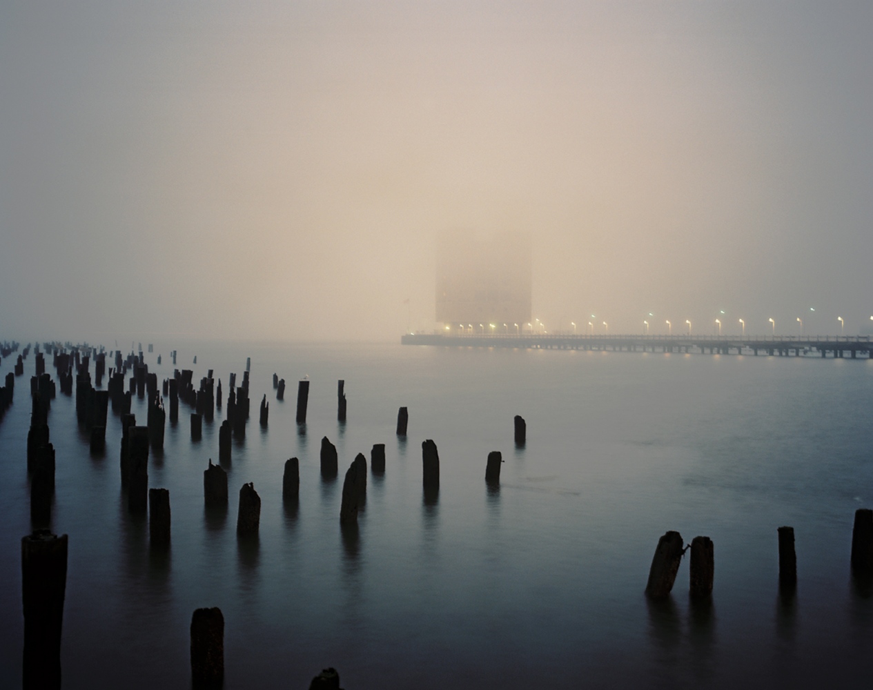 10013 Collection: 2012 - Pilings, Hudson River, 2011