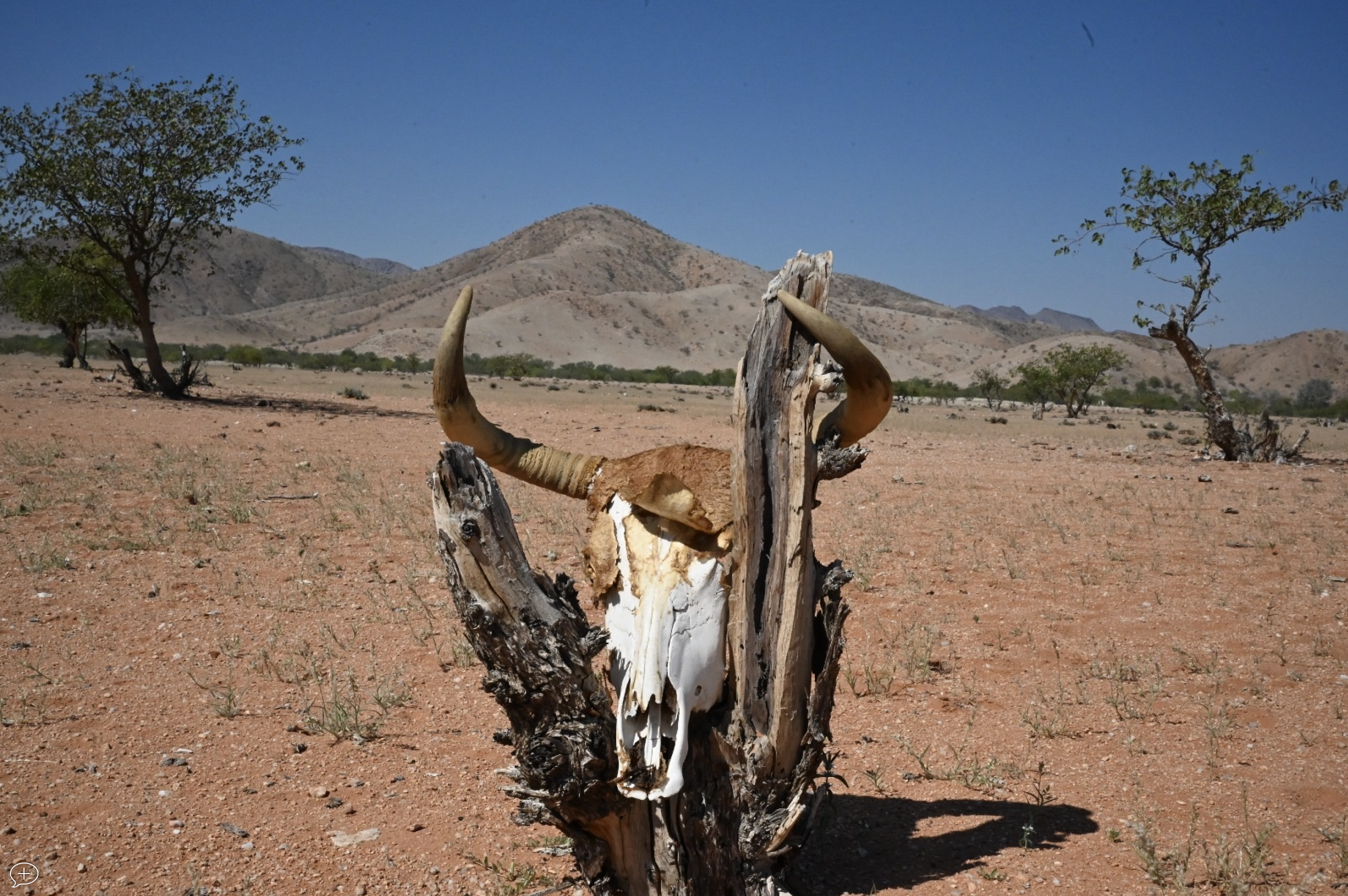 The Pastoralists Fighting Climate Change