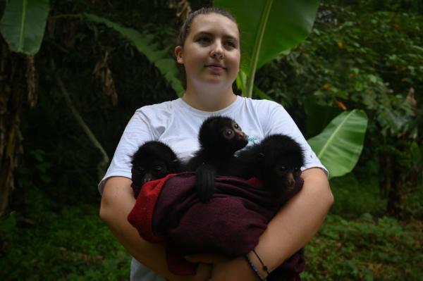 Image from Saving Animals in the Amazon
