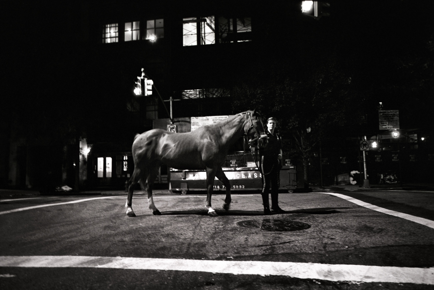 Walking Home to the Stable, White Street &amp; West Broadway, 2010. 11x14&quot;, silver gelatin fiber print, signed, stamped, &amp; numbered for authenticity.