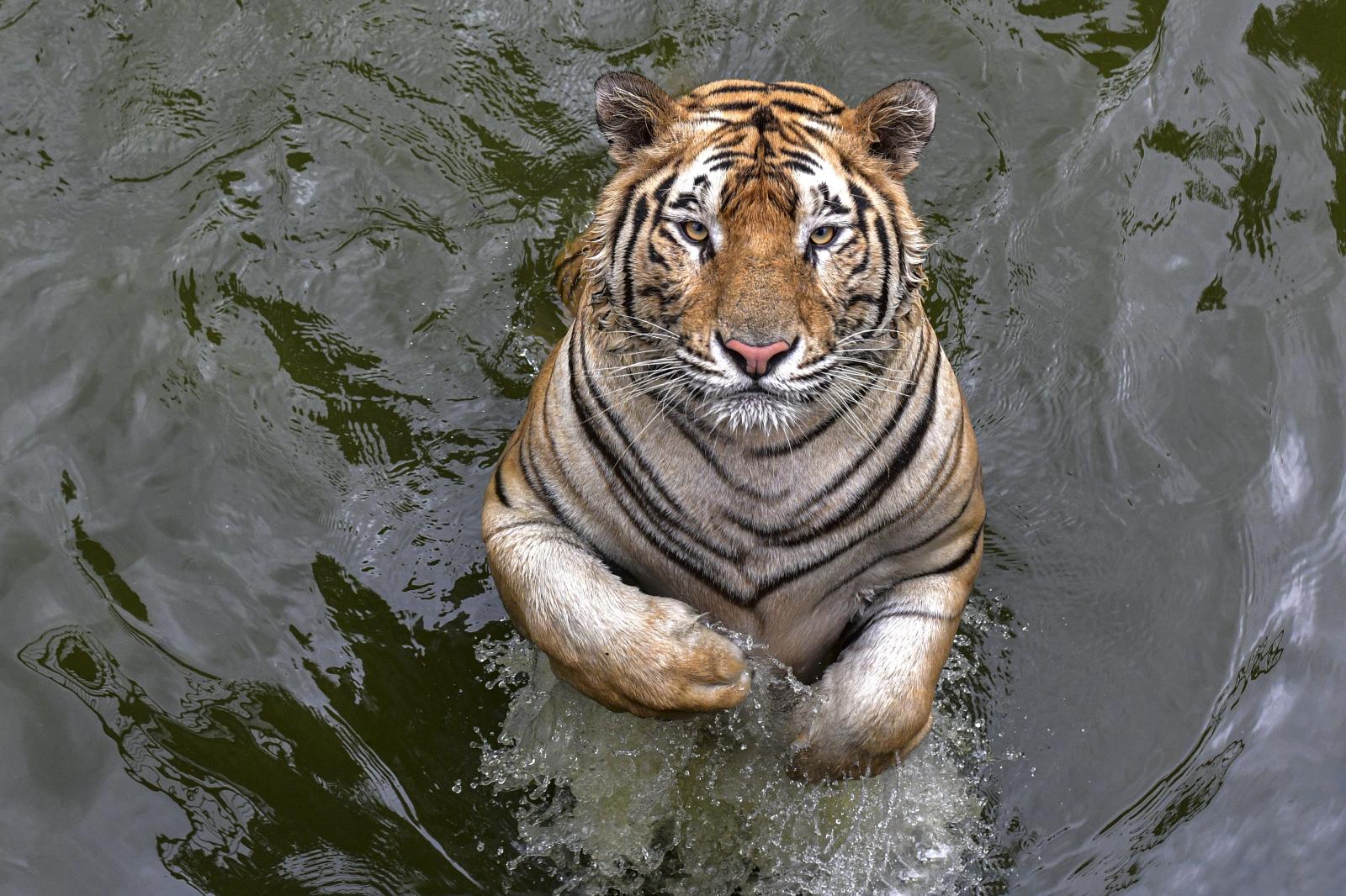 Bangladesh National Zoo