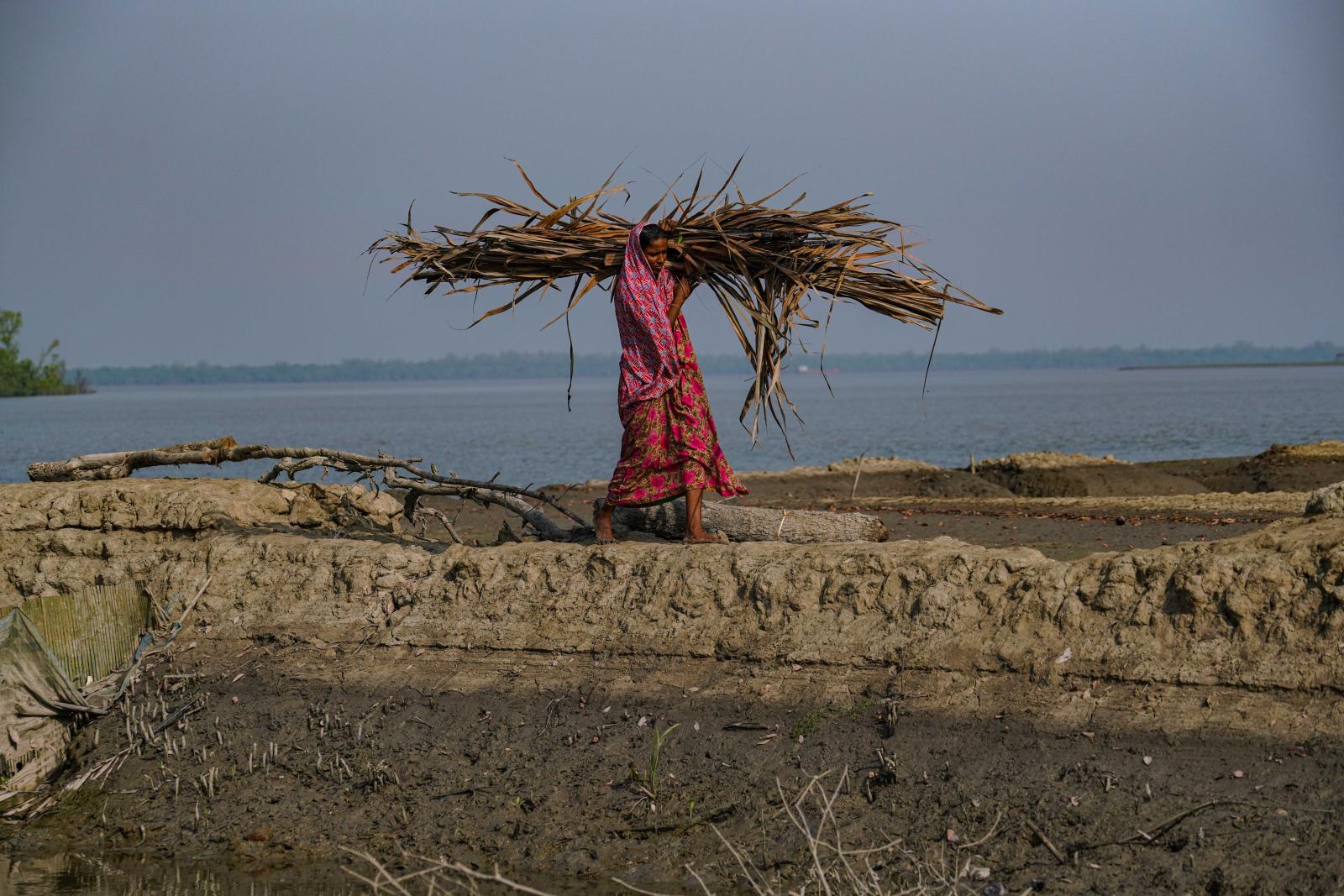 Life Around the Sundarbans In Bangladesh