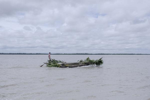 Wave of Tears -  A man transports a betel nut tree with a boat, he has...