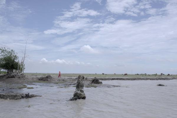 Image from Wave of Tears -  A woman stands on her last piece of land. Due to river...