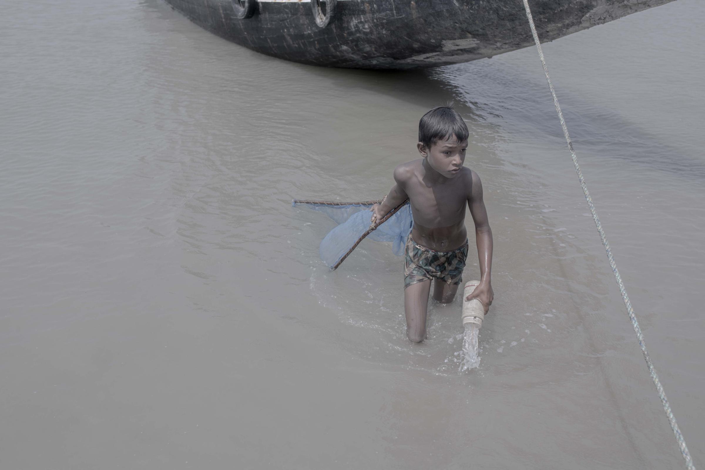 Salt Water's Roar -  A boy collect spawn, in a river near the Sundarbans at...