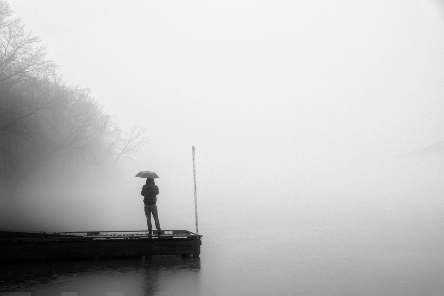Art and Documentary Photography - Loading fog_umbrella.jpg
