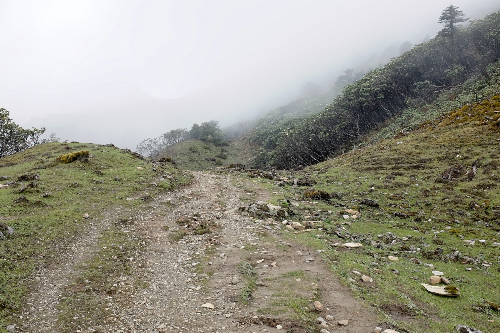 Every year the road gets closer -                   Hiking up to the Nachung-La mountain...