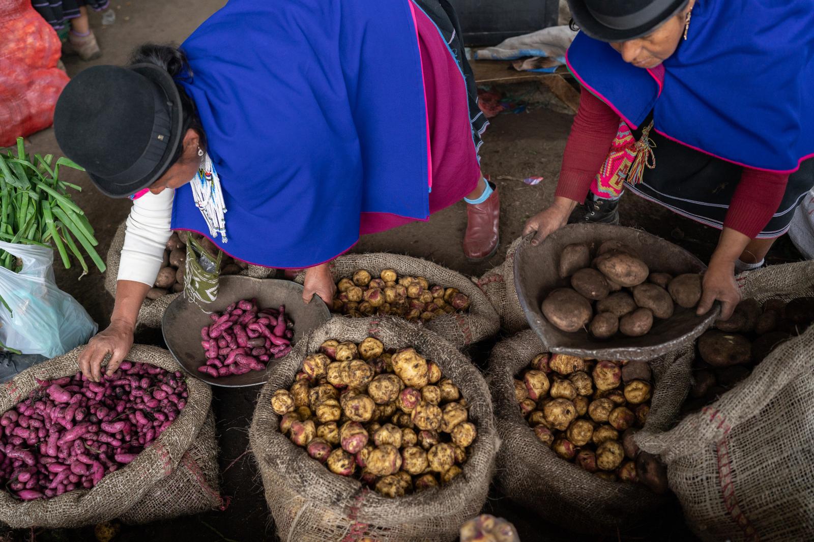 Bloomberg: Inflation - Slivia, Cauca, Colombia