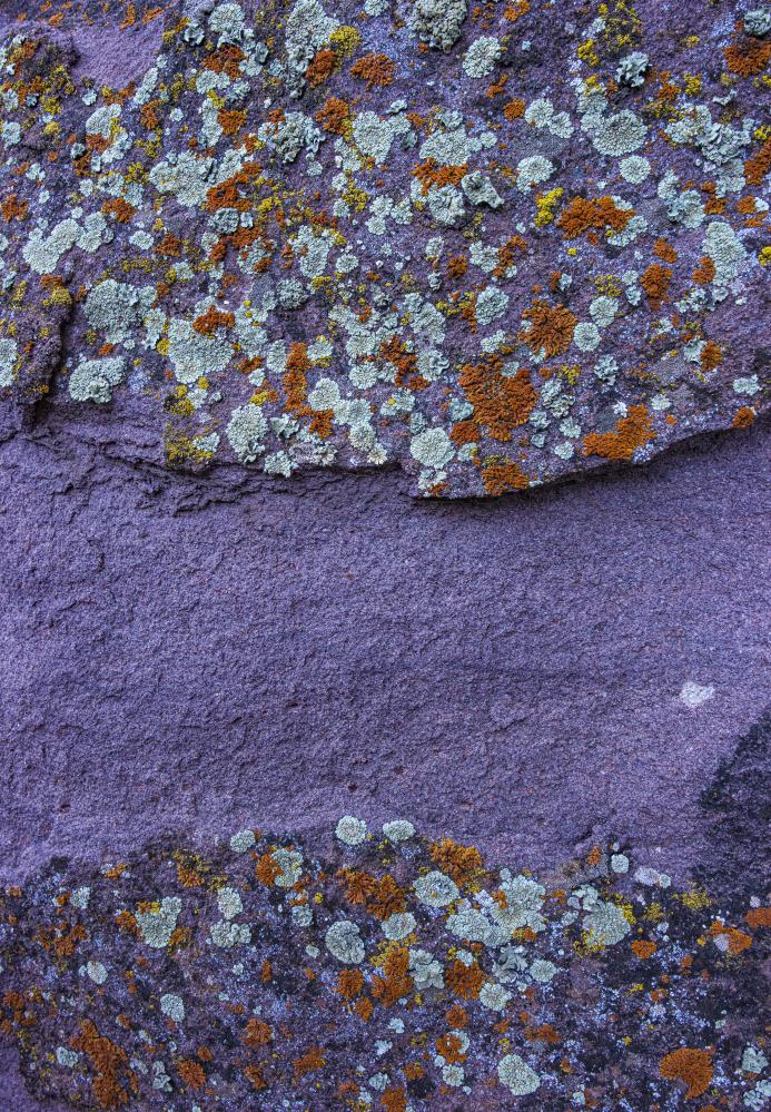 Southwest Rock & Lichen