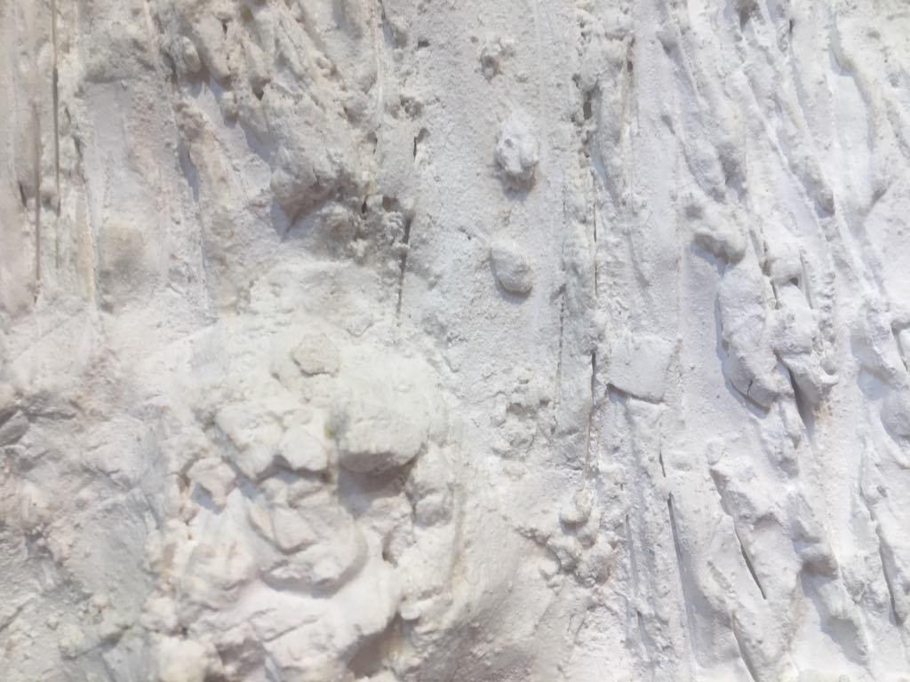 The Anti-Archive Residency Exhibition presents Sarah EL Raghy's art