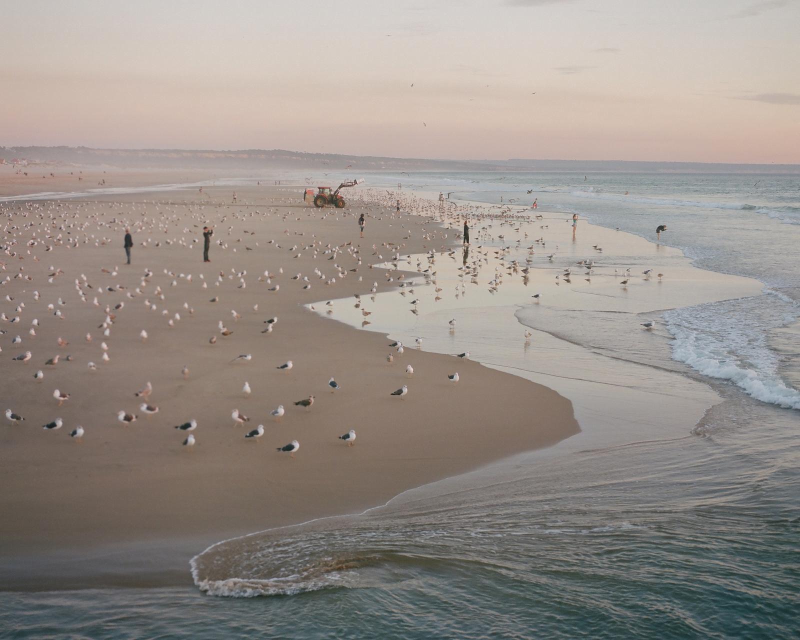 Their Names Are Written in the Sand