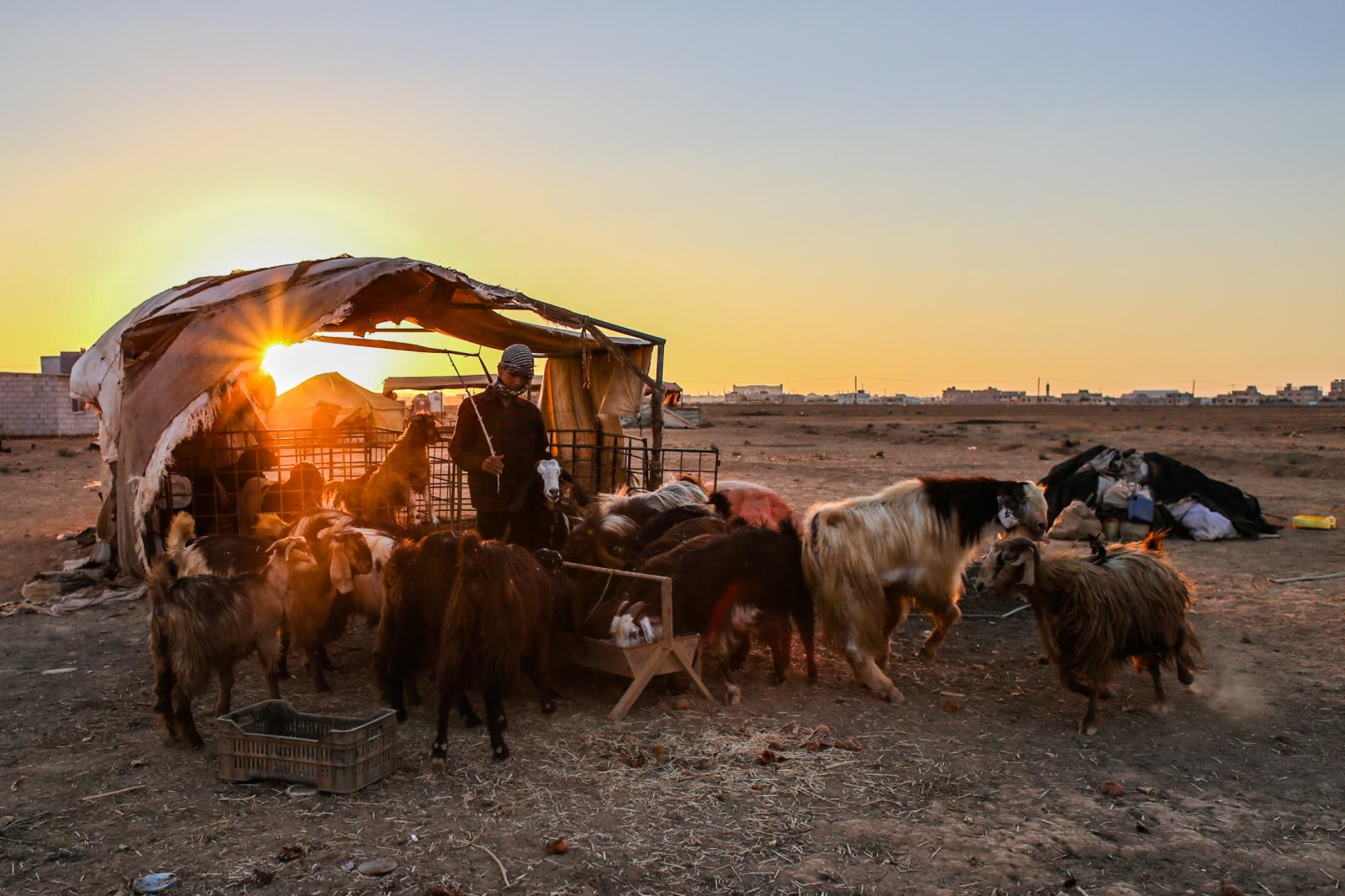 Al Mafraq, Jordan