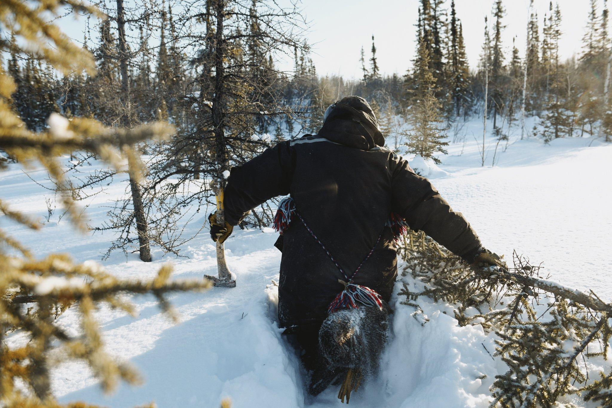 The Last Trappers - National Geographic - Shaun Tobac, a skilled hunter and trapper, sets traps for...