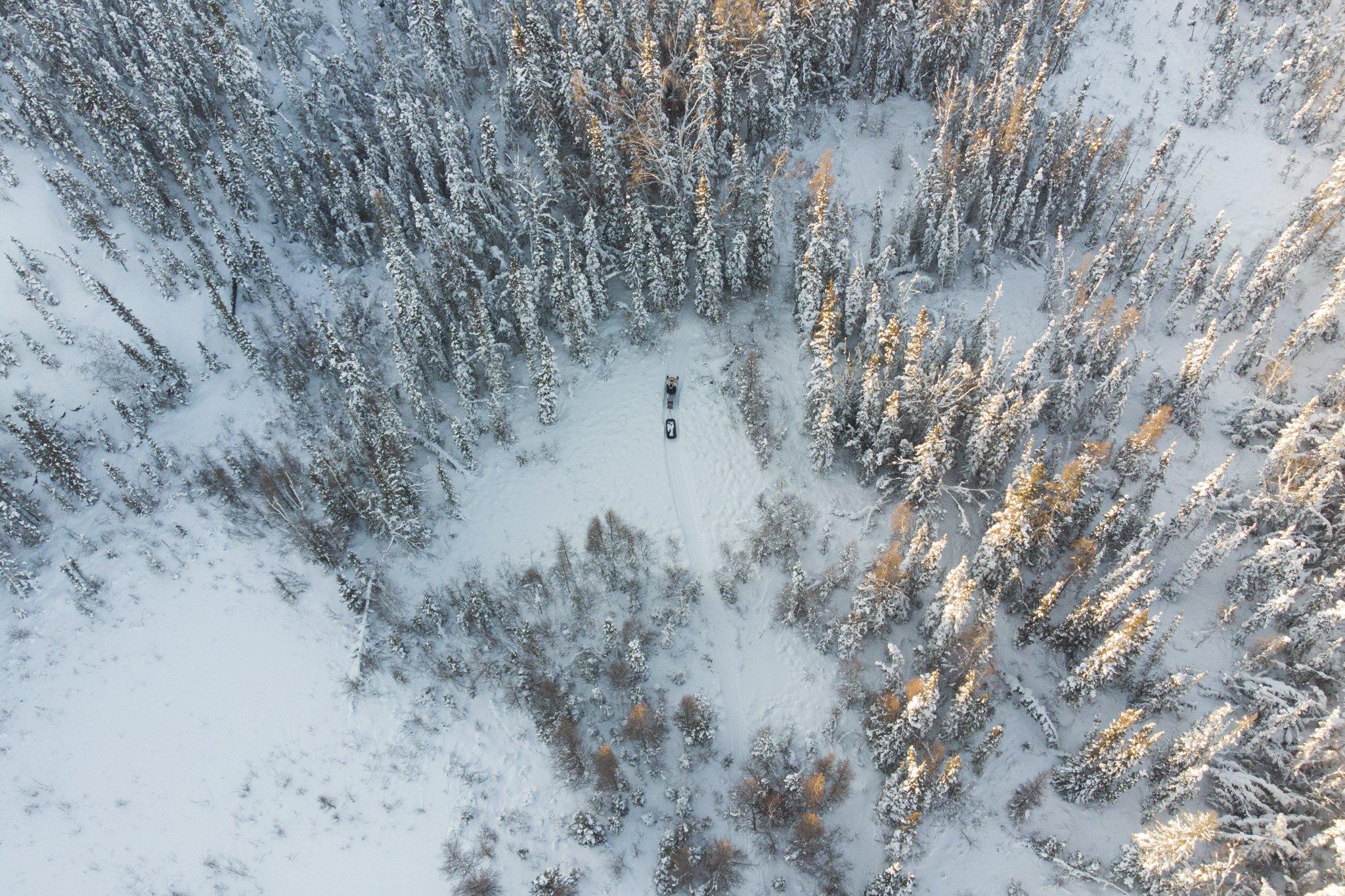 The Last Trappers - National Geographic - Nathan Kogiak makes his way through the forest near...