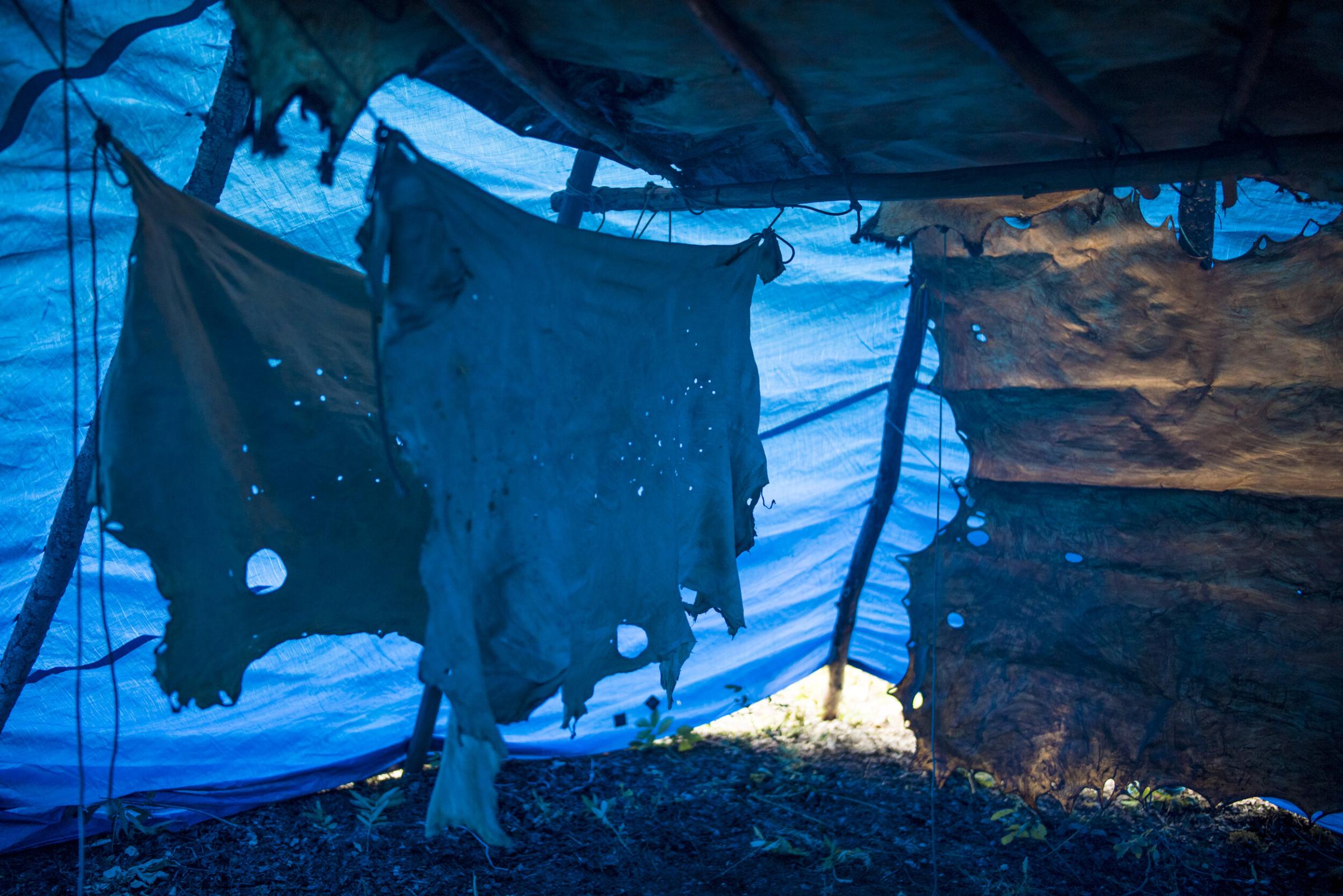 Here Is Where We Shall Stay - Moose hides dry and are tanned by the smoke inside a tipi...
