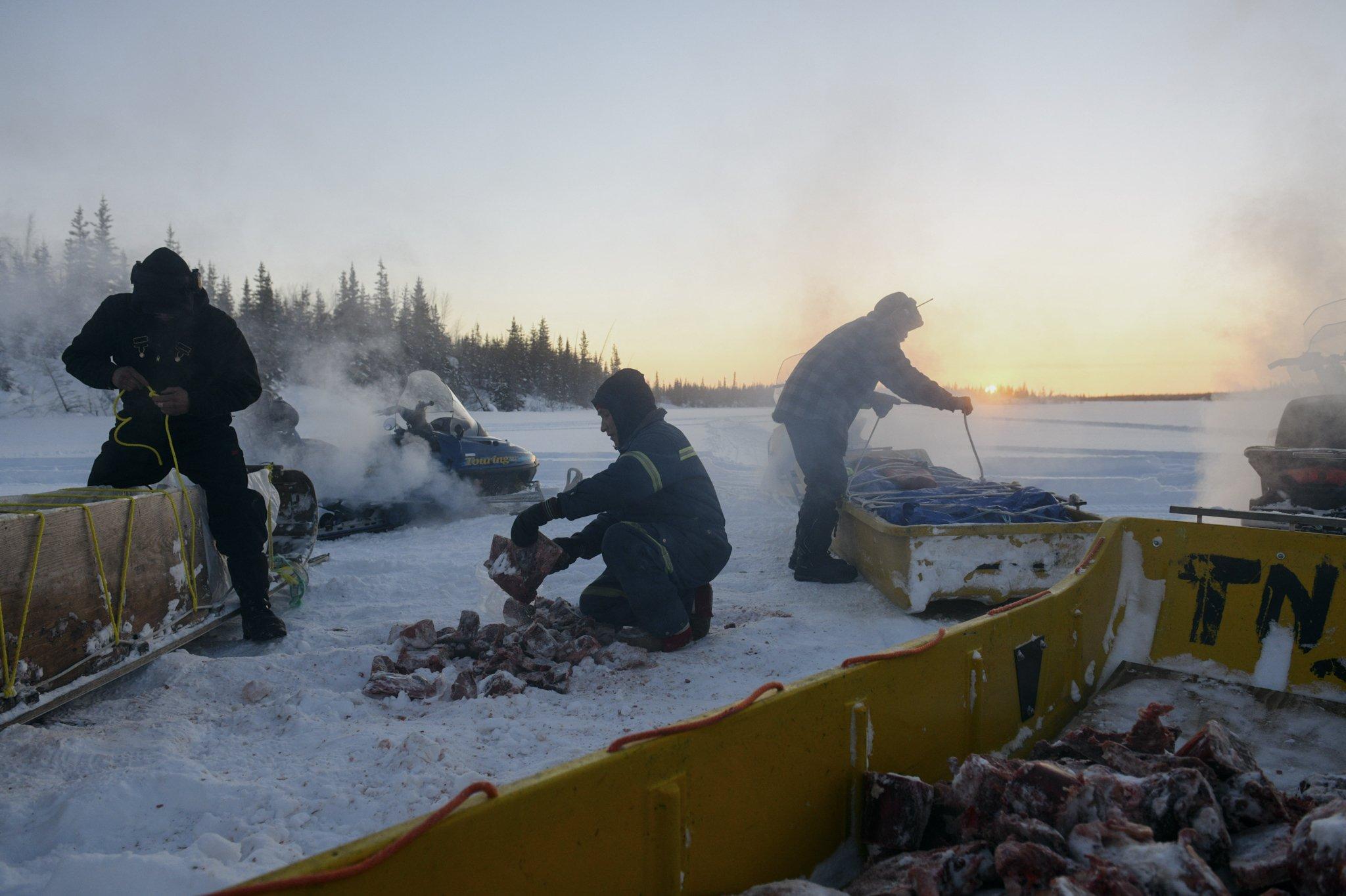 The Last Trappers - National Geographic - Buddy Gully, Tyrell Kochon and Trapper Rabesca load moose...