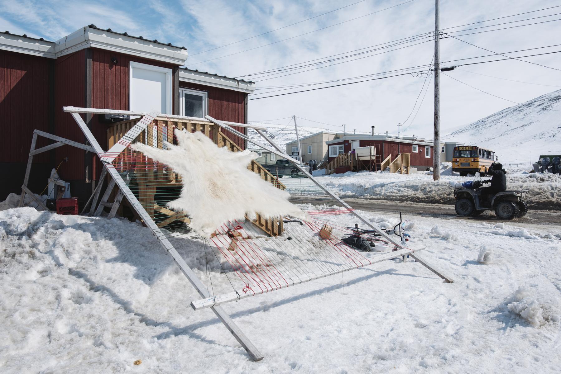 No Place to Grow Old - The Globe and Mail - A polar bear hide is stretched outside of a homein...