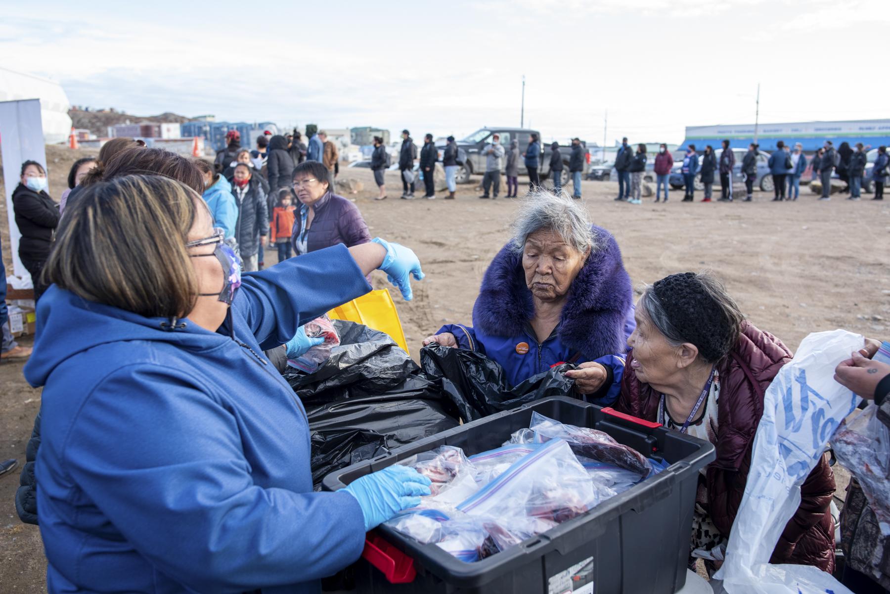 The Hunt for Healthy Food - Iqaluit elders and residents line up for muktuk (whale),...