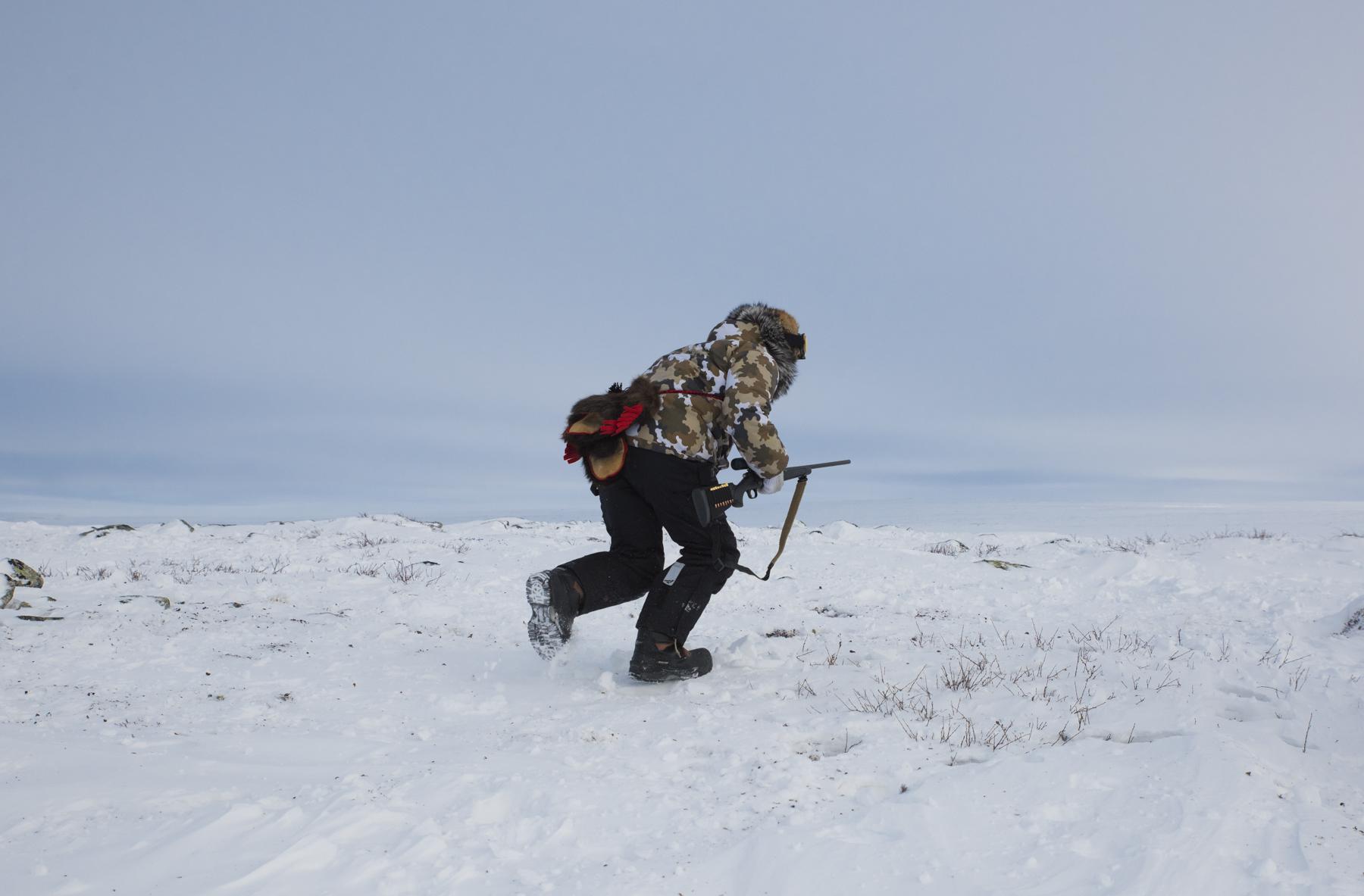 The Hunt for Healthy Food - Randy Baillargeon moves over an outcrop during a hunt...