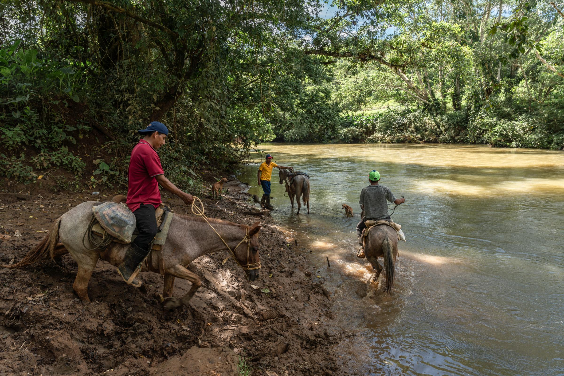 Bloomberg: Saving the Panama Canal Will Take Years and Cost Billions, If It’s Even Possible - Locals riding horses to cross the  Indio River, main river that could flood what might be the new...