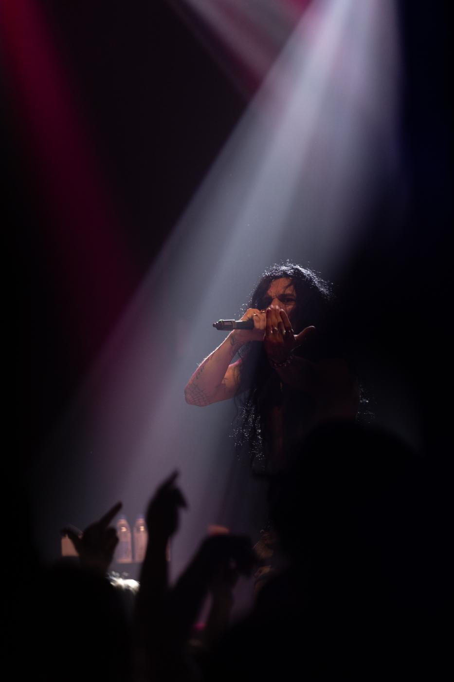 Concert Portfolio