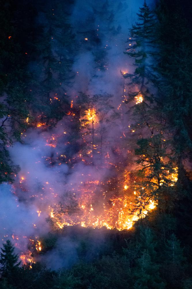 Fire Close Up, Sweet Creek Fire, August 2020