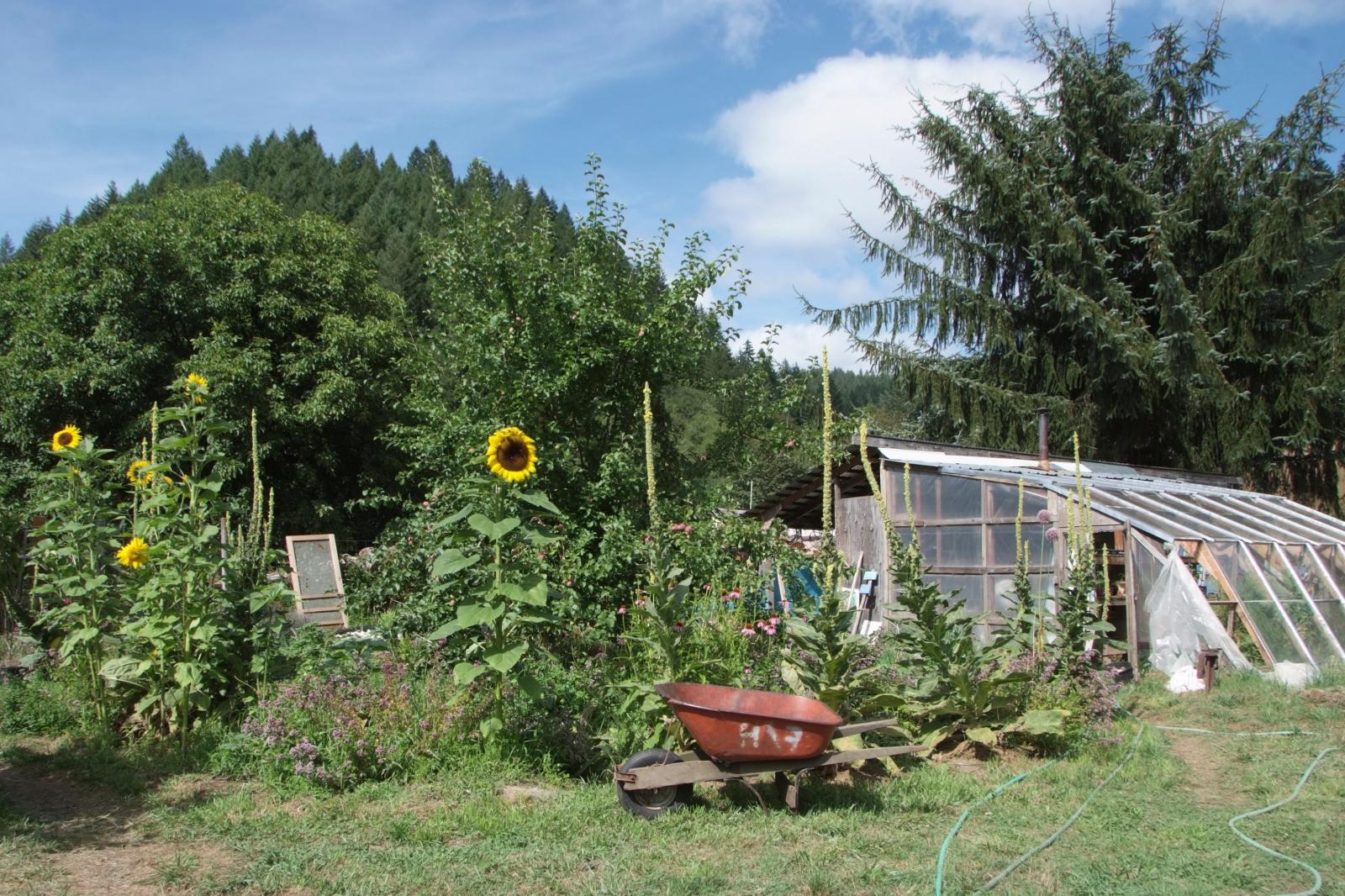 Alpha Farm Garden