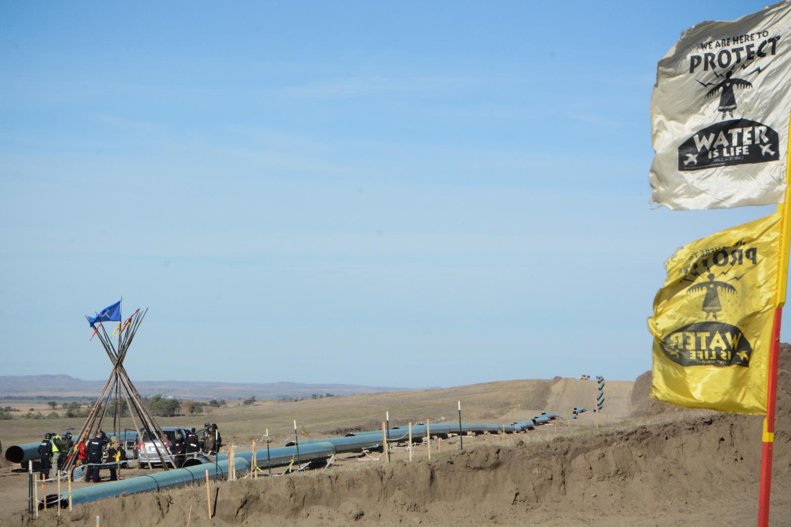 Police Arrest Water Protectors at Pipeline Site, Standing Rock