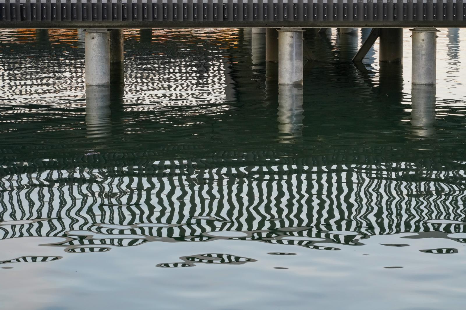 Lindau Nobel Laureate Pier