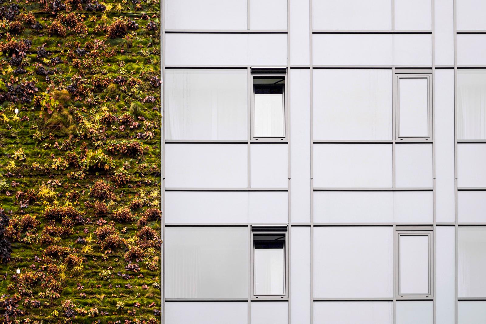 Image from New Photographs -  Koblenz , Germany  # 4108 12/2023 Living Wall: Green...