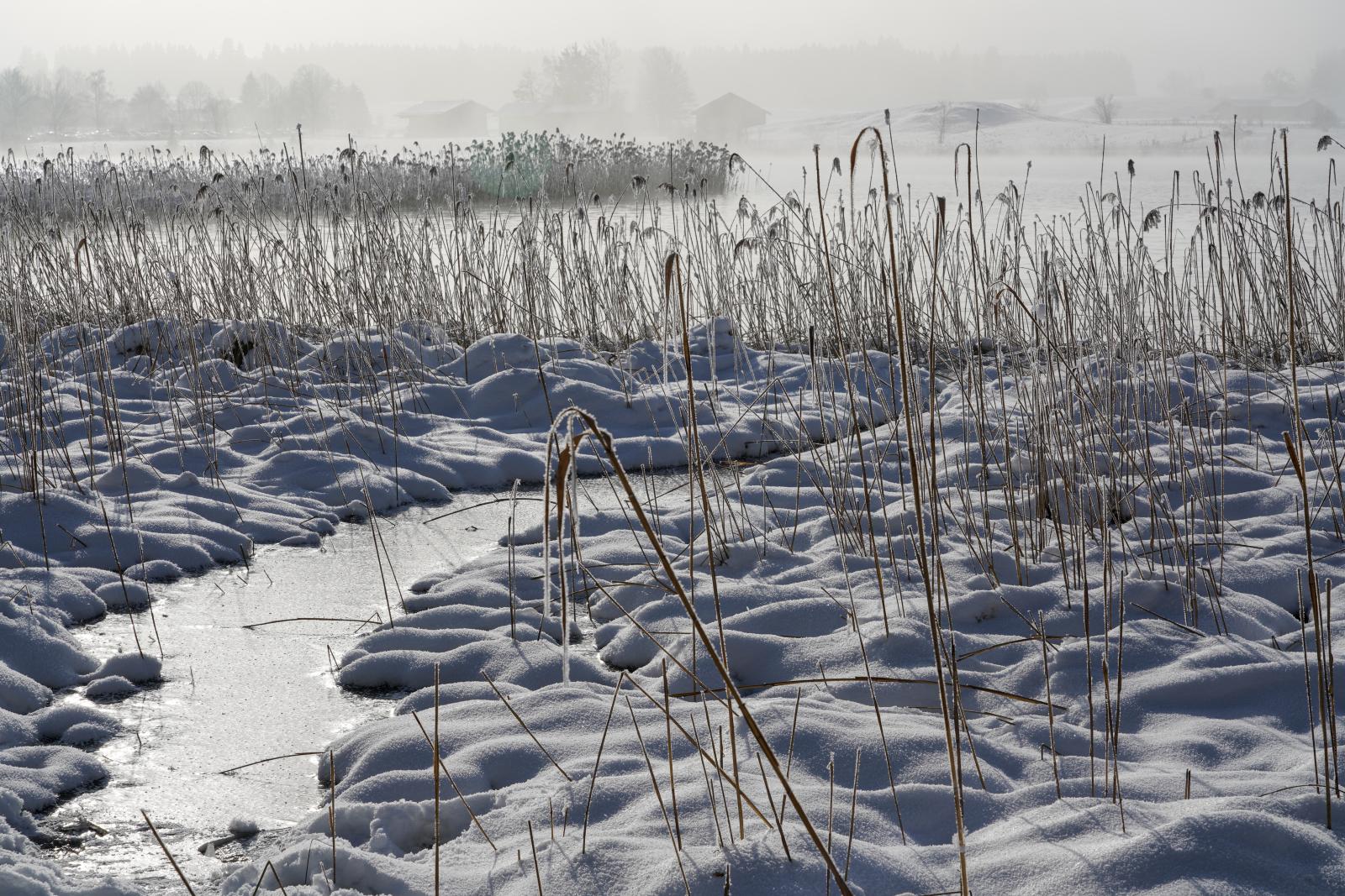 Time Seems To Stand Still: Veiled In A Winter Mist