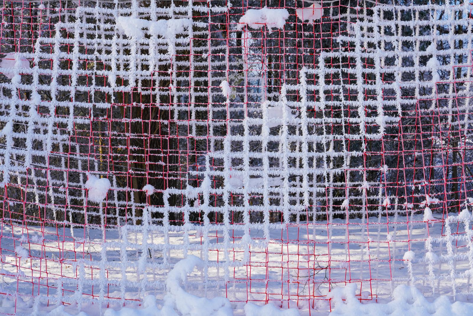 Soccer Goal Net: A Symphony in Snow and Mesh