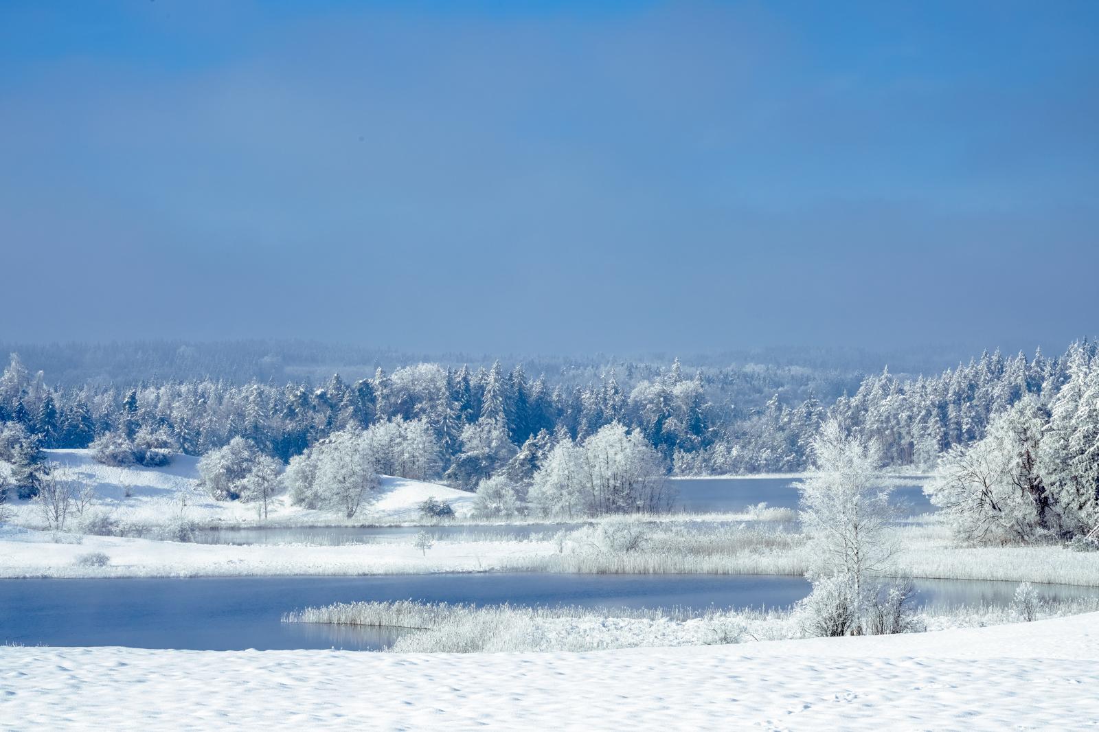 Image from Seasons, Nature and Landscape -  Iffeldorf, Germany  # 4115 1/2023 Icy Tranquility:...