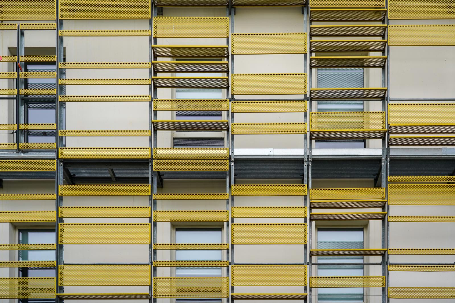 Image from New Photographs -  Grenoble, France  # 4299 4/2024 Urban Beehive: Dynamic...