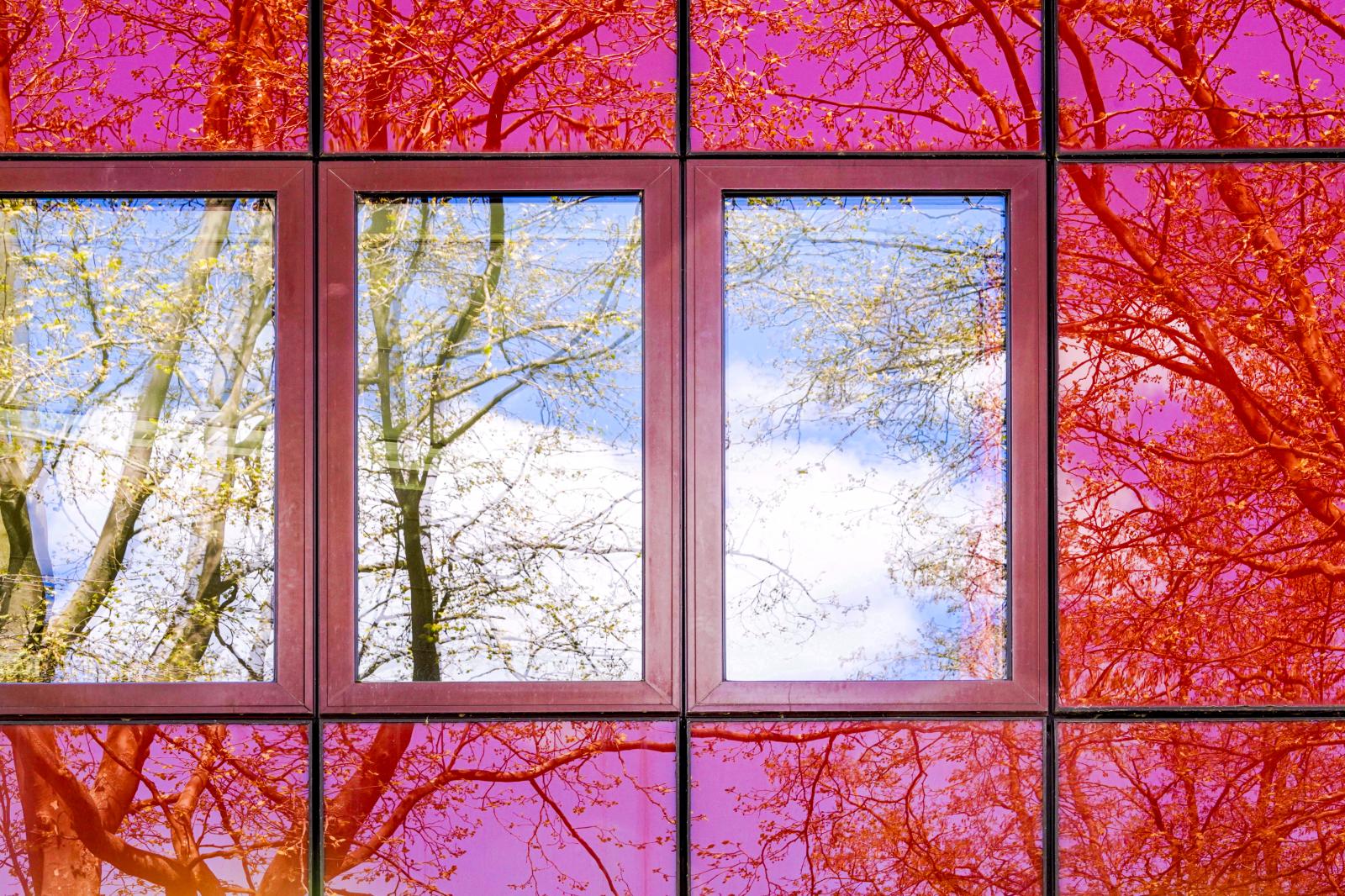 Crimson Reflections: Artful Juxtaposition of Nature against Modernity