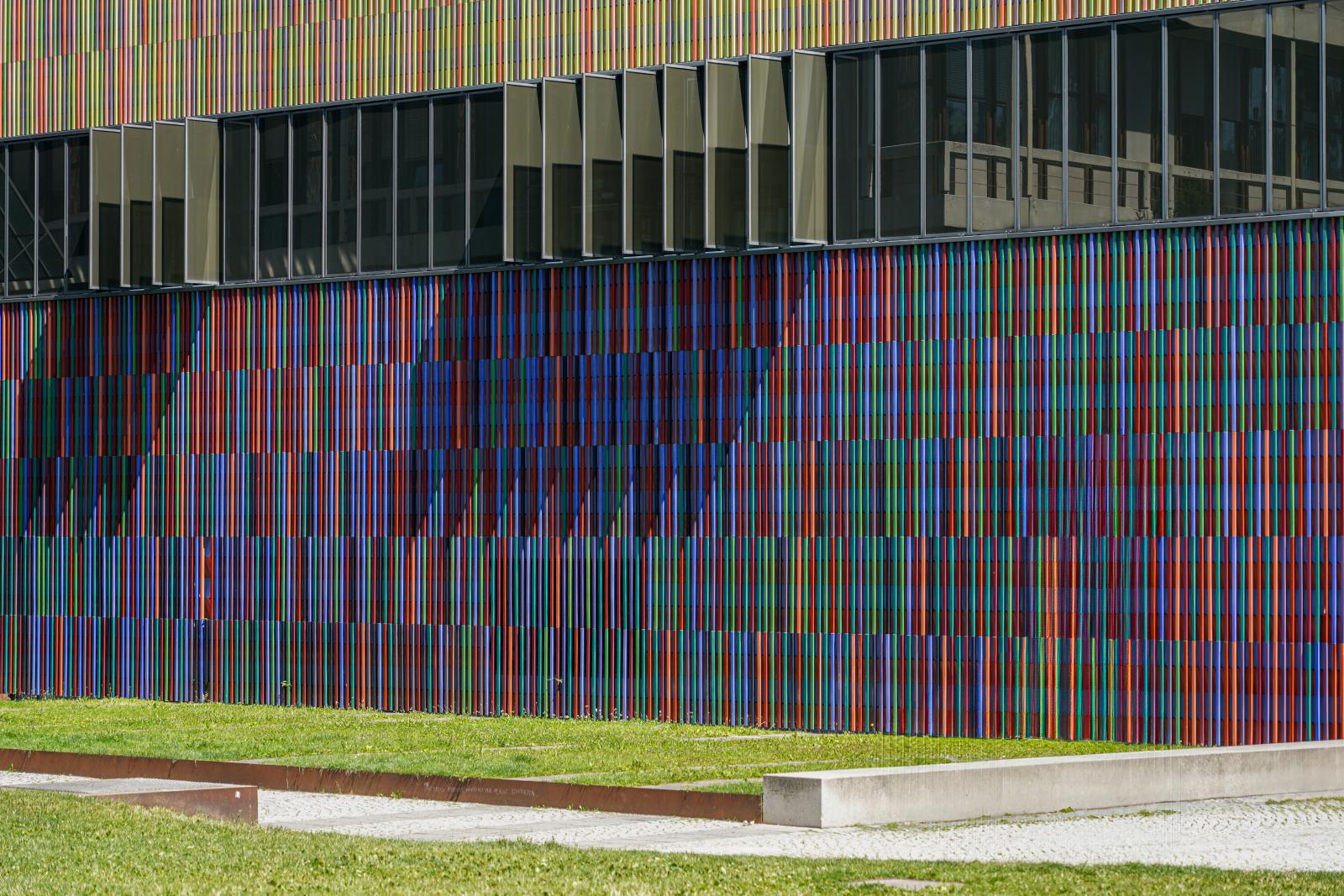 Chromatic Shadows: Brandhorst’s Living Canvas 