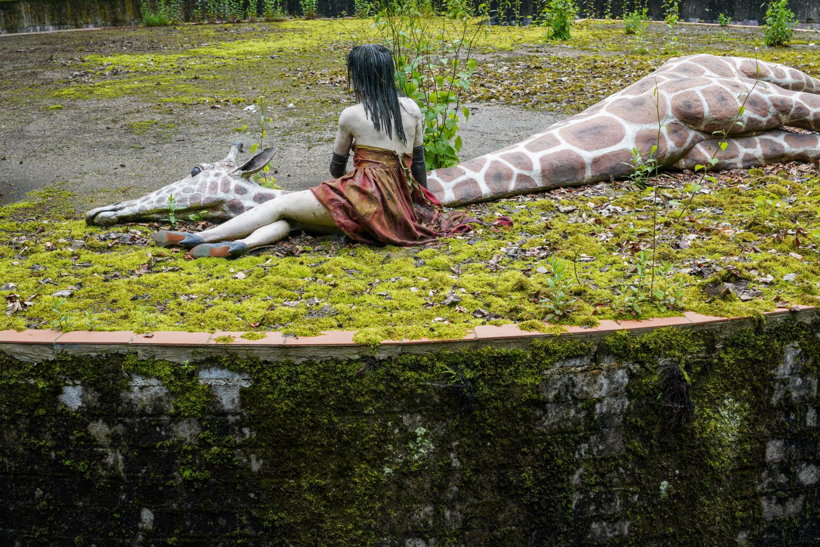 Memorial for Endangered Species: Young Woman caressing the Head of a dead Giraffe