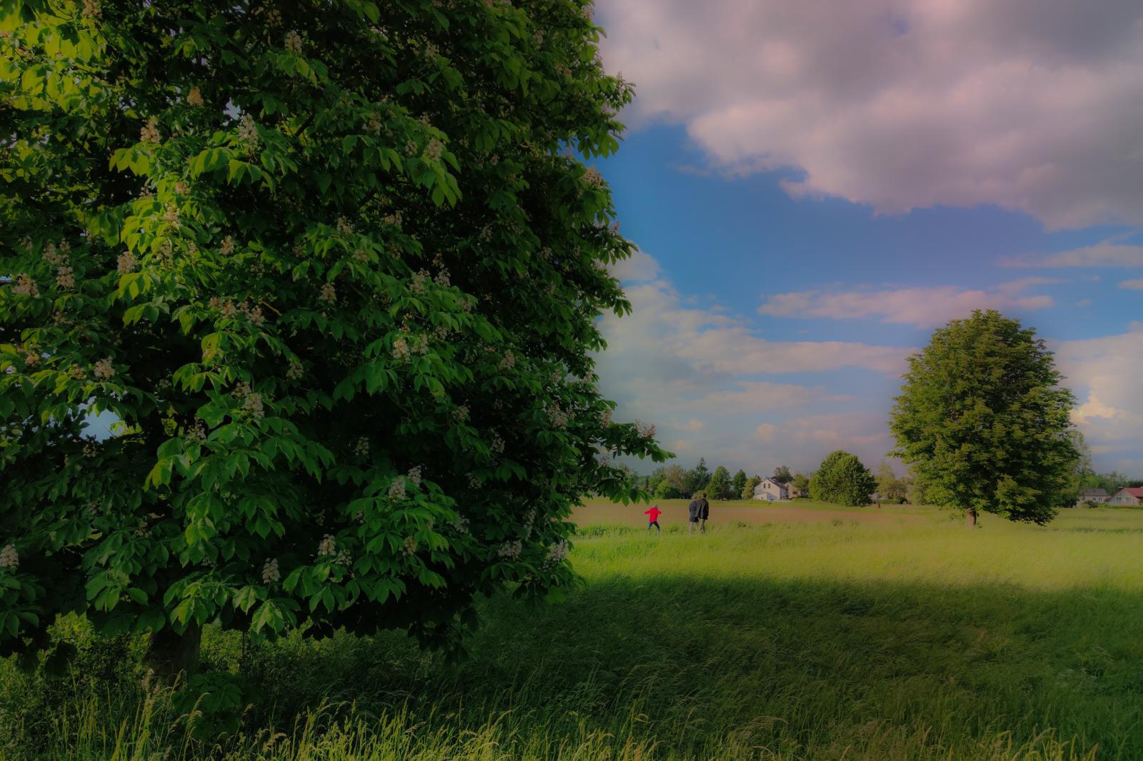 Family Walk in the romantic and enchanting Bavarian Würmtal Valley | Gauting | Buy this image