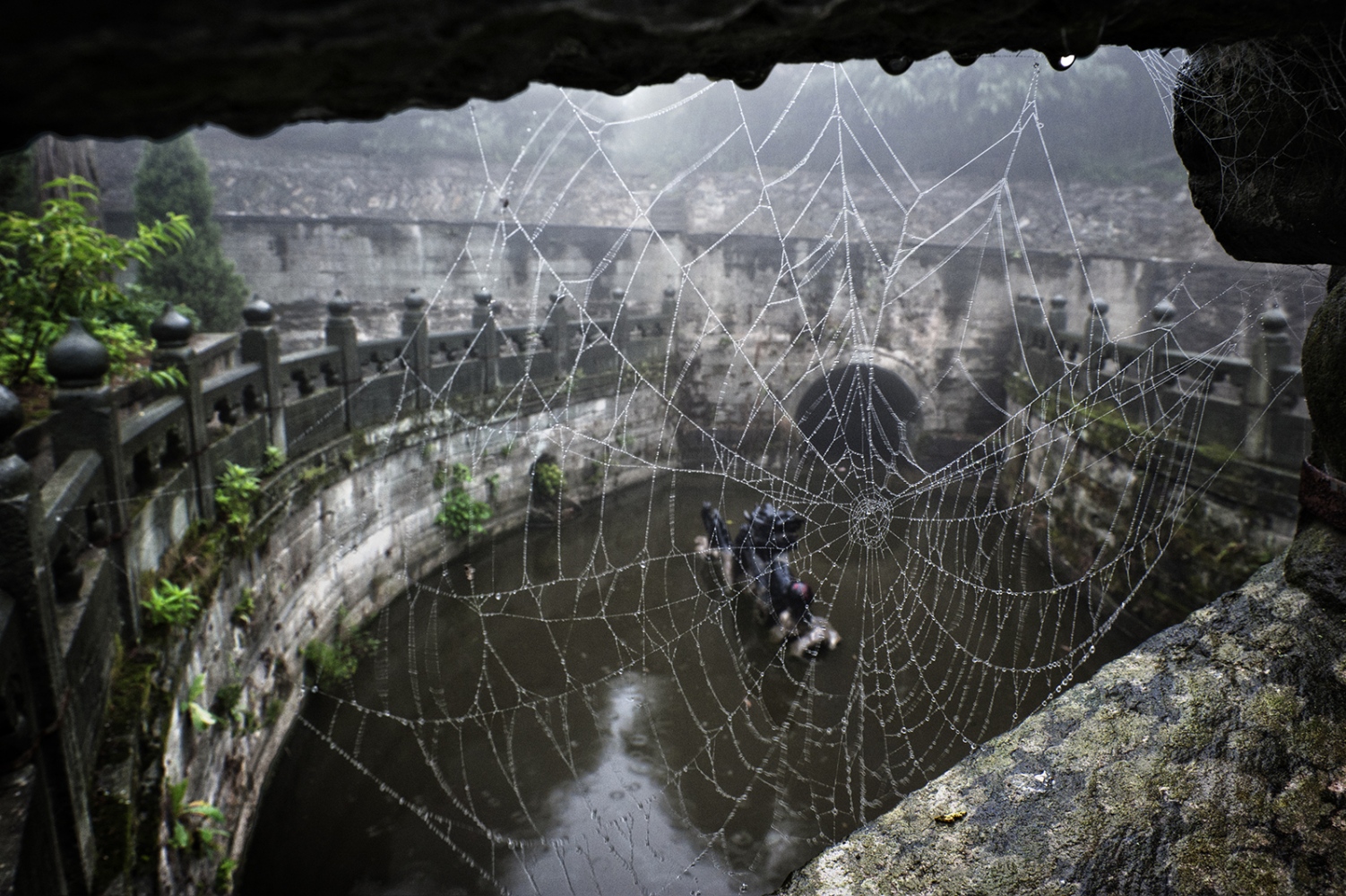 Art and Documentary Photography - Loading _ELU9142_oo.jpg