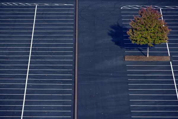 Parking lot with tree | Buy this image