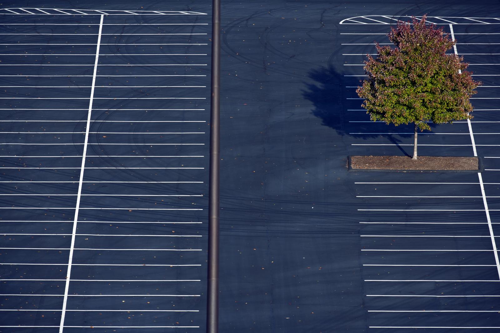 Parking lot with tree