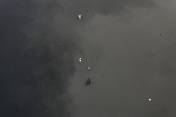 Dangerous job of recycling - Aerial view of Banani Lake in the city of Dhaka in which bodies of dead fish could be seen...